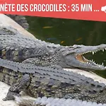 Centre - Salle De Bain, Refrigerateur, Tv Et Machine A Cafe Privatifs - Cuisine Commune - Terrasse - De A 200m *