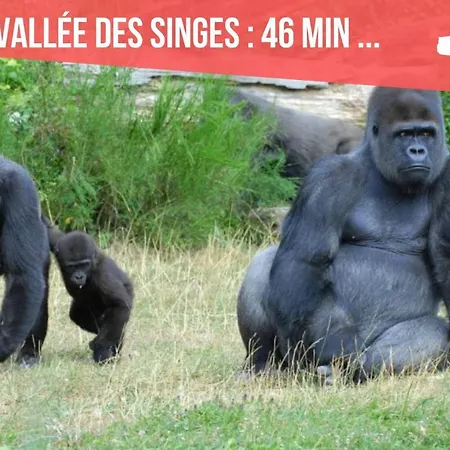 Centre - Salle De Bain, Réfrigérateur, Tv Et Machine à Café Privatifs - Cuisine Commune - Terrasse - De à 200m