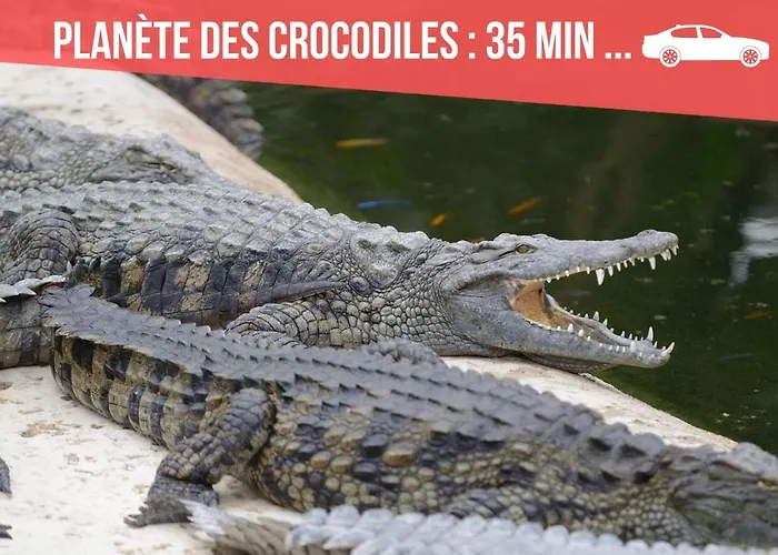 Centre: Private Comforts, Shared Kitchen & Hall Proximity *