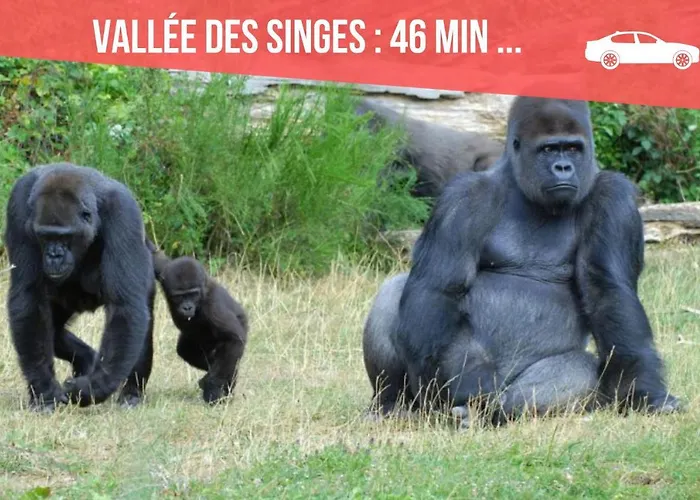 Centre: Private Comforts, Shared Kitchen & Hall Proximity